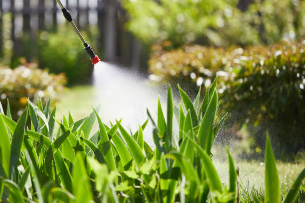 24/7 Emergency Termite Control experts in Washington, PA